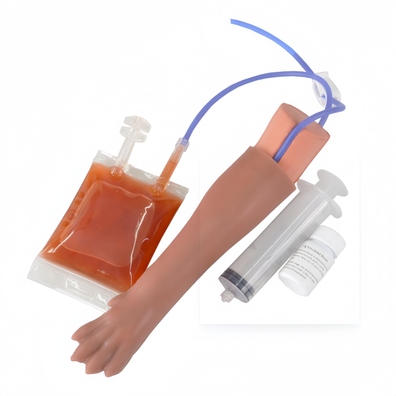 Dog IV Injection and Phlebotomy Trainer Kit